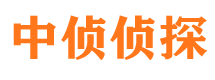 旌阳市侦探公司